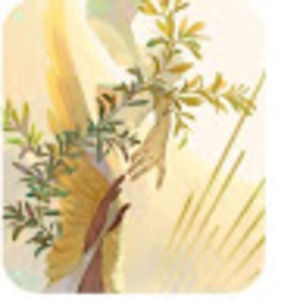 Meet your Posher, Lucy